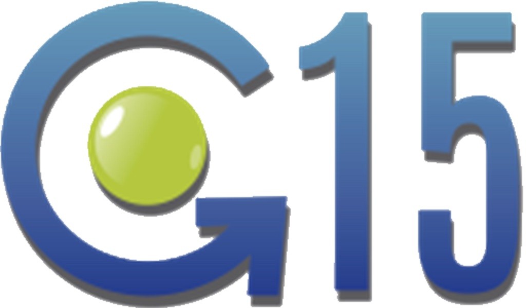 G15consultores