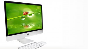 Slide thumbnail